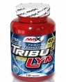 Amix Nutrition Tribu-Lyn 40%, 220 кап