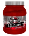 Hetman Sport L-Glutamina, 425 гр
