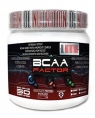 DL Nutrition BCAA Factor, 500 гр