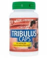 ActivLab Tribulus Caps, 30 кап