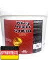 Activevites Whey Weight Gainer, 5000 гр